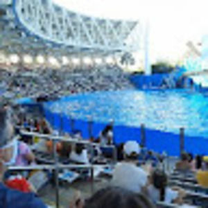 Meet your Posher, Rynell